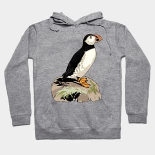 Atlantic puffin Hoodie